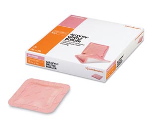 Silicone Foam Dressing Allevyn Gentle Border 5 X 5 Inch Square Silicone Gel Adhesive with Border Sterile