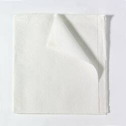 Procedure Towel Tidi® 13 W X 18 L Inch White NonSterile
