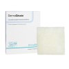 [DEM-00260E] Alginate Dressing DermaGinate® 2 X 2 Inch Square