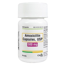 [RIS-57237003101] Amoxicillin Capsules, USP, 500mg, 100 Ct, (Rx) (US Only, Excluding IN &amp; ND) (Product is Non-Returnable)